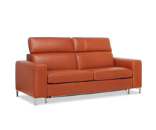 Load image into Gallery viewer, Andrew Leather Queen Sleeper